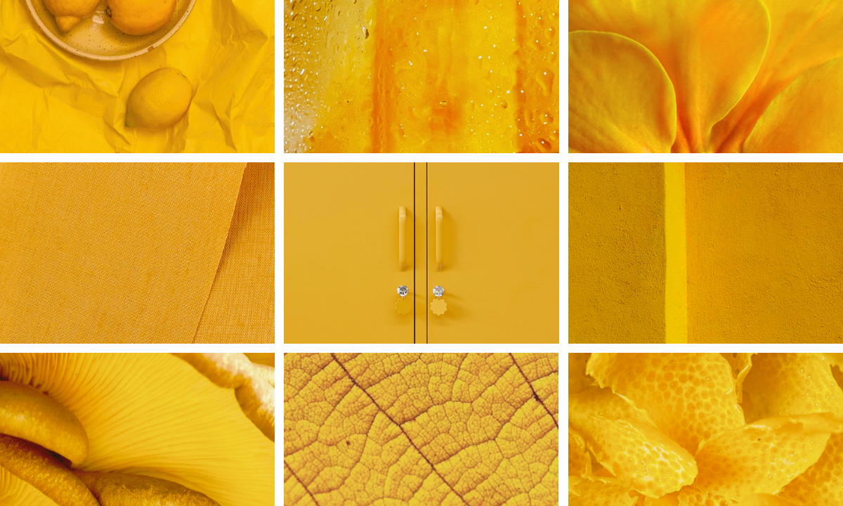A grid of 9 rectangular images displays close ups of different textures in the same golden, Mustard yellow.
