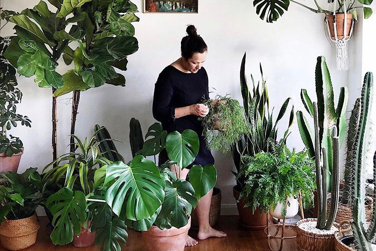 Lockers + Plants - with Tribe and Us