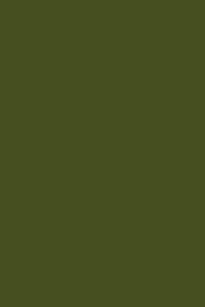 Colour Swatch in Olive - Mustard Made Australia
