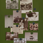 The Buttons in Olive