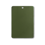 Colour Swatch in Olive