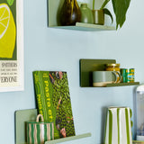 The Ledge in Sage - Small