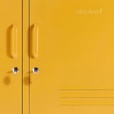 The Lowdown in Mustard