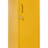 The Skinny in Mustard