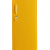 The Skinny in Mustard