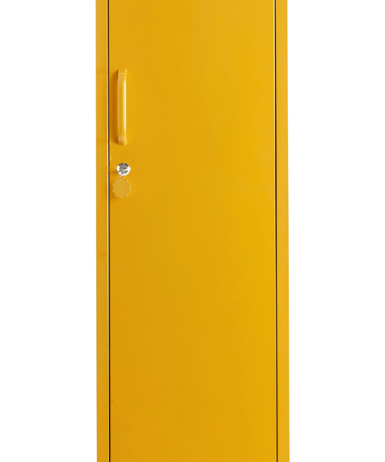 The Skinny in Mustard