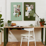 The Storyboard in Olive