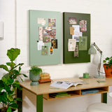 The Storyboard in Olive