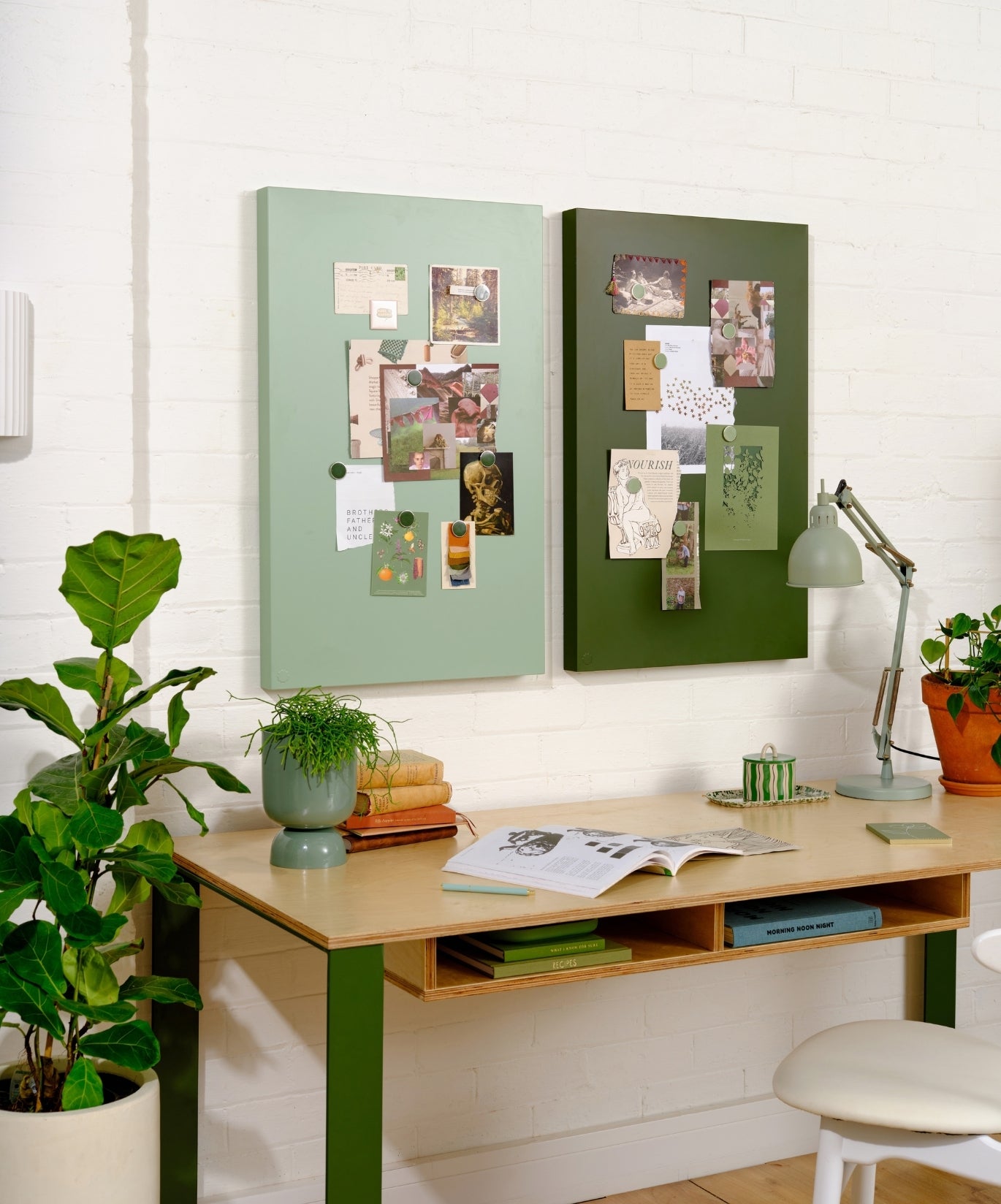 The Storyboard in Olive