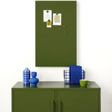 The Storyboard in Olive