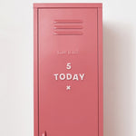 Number Magnets in Blush by Wordbits